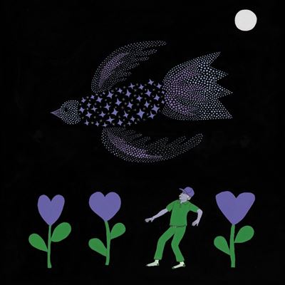 bonnie prince billy the purple bird